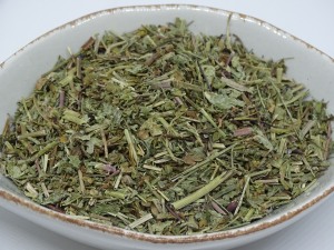 Ehrenpreis Kraut